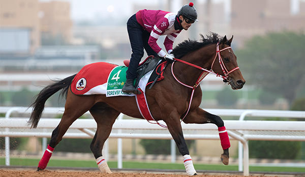 2024 BREEDERS' CUP まとめセット Hit_Show_Dubi_World_Cup_Recap_