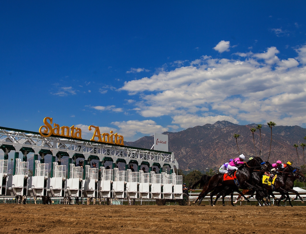 Swiss Skydiver Reroutes to Santa Anita Oaks