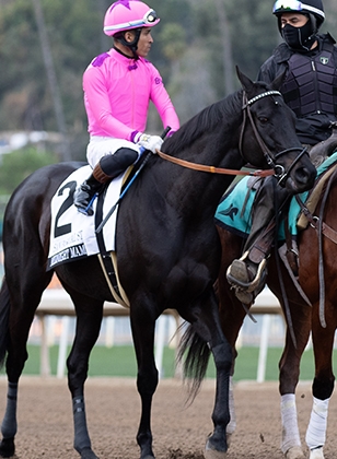 ラヴズオンリーユーBREEDERS' CUP 2021 ジャンパー ラヴズオンリーユーBREEDERS' CUP 2021 ジャンパー