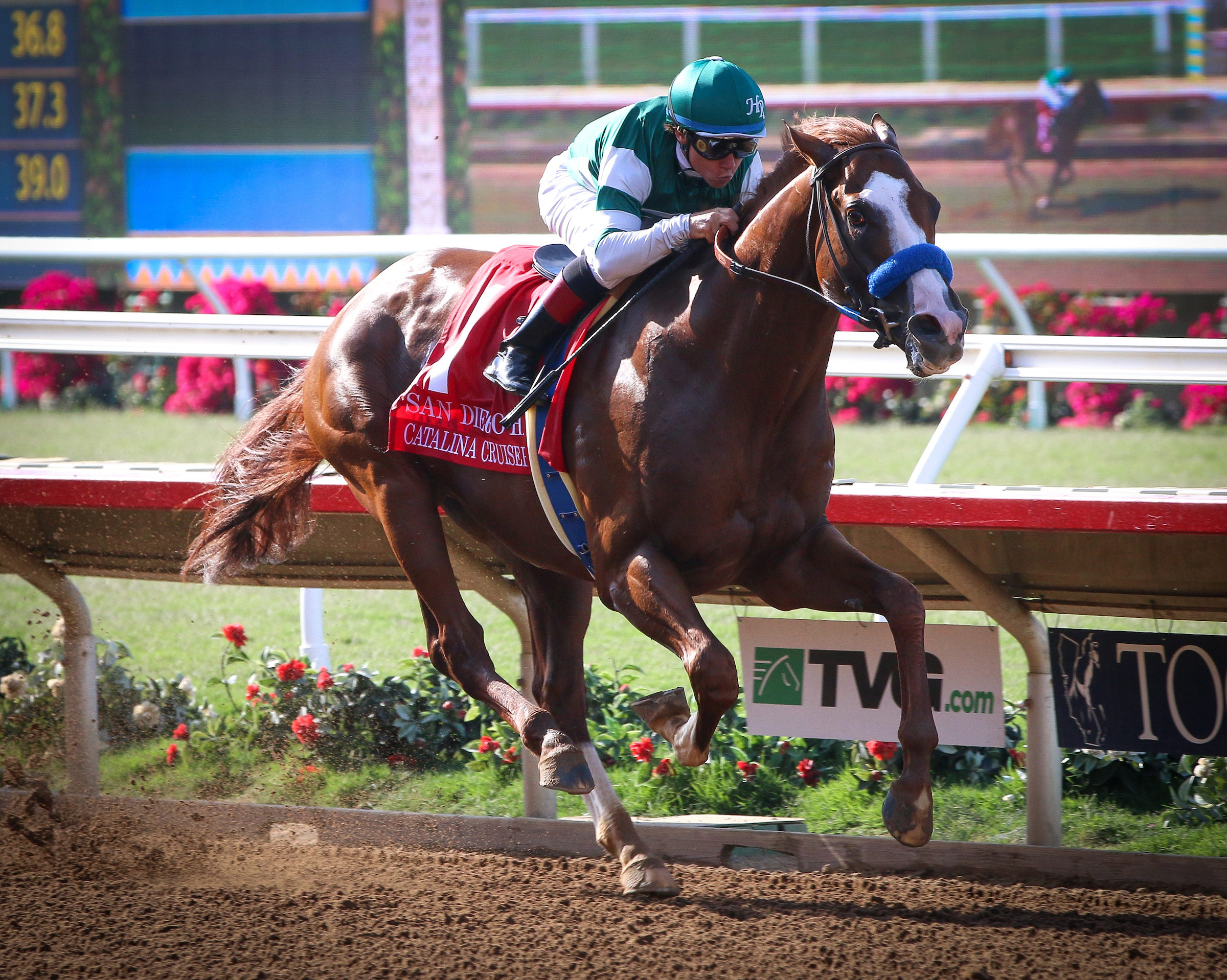 Catalina Cruiser Stands Out in Dirt Mile Pre-Entries