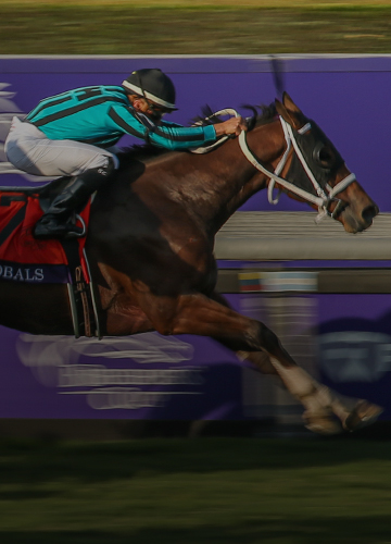 2024 Breeders' Cup Turf Sprint Picks and Predictions