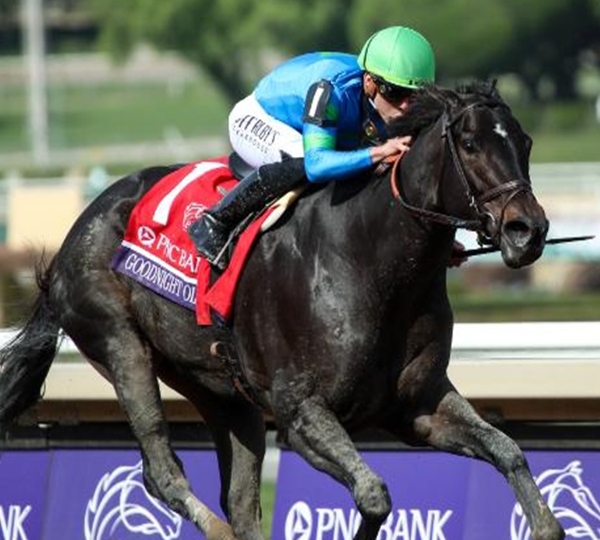 Breeders' Cup World Championships 2024