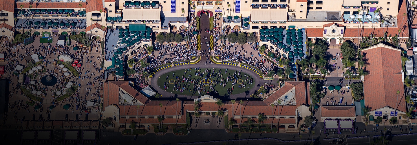 2024 BREEDERS' CUP まとめセット 2024 BREEDERS' CUP まとめセット 2024 BREEDERS' CUP まとめセット