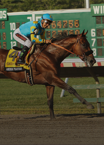 Haskell Paves Way to Breeders' Cup Glory