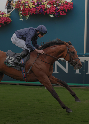 2024 Breeders' Cup Classic Shaping Up as True International Showdown