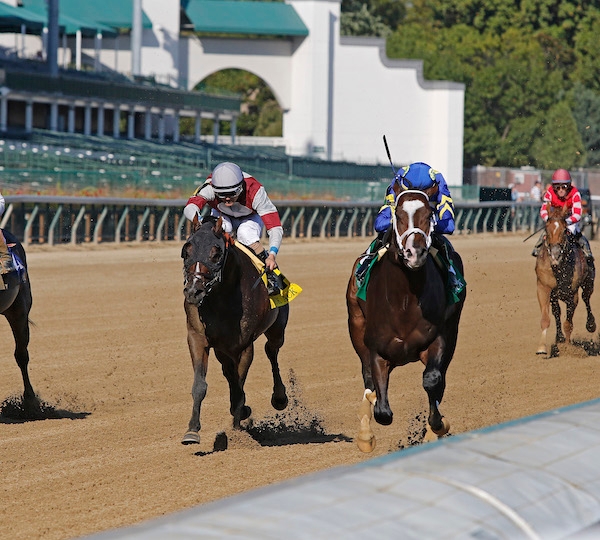 Zozos Secures First Graded Victory in Ack Ack Stakes