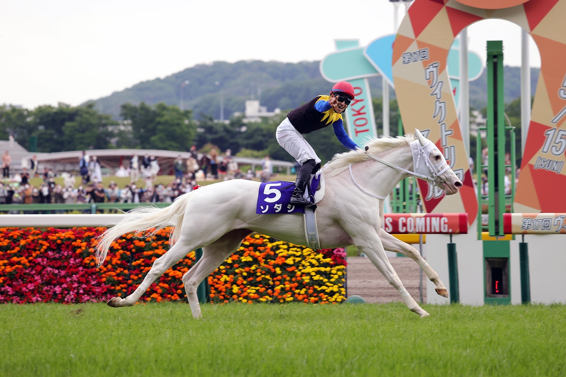 Sodashi Wins Victoria Mile at Tokyo Racecourse