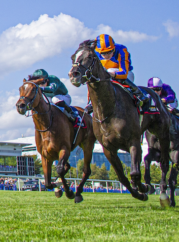 What to Know About the Nine Breeders' Cup Saturday Races