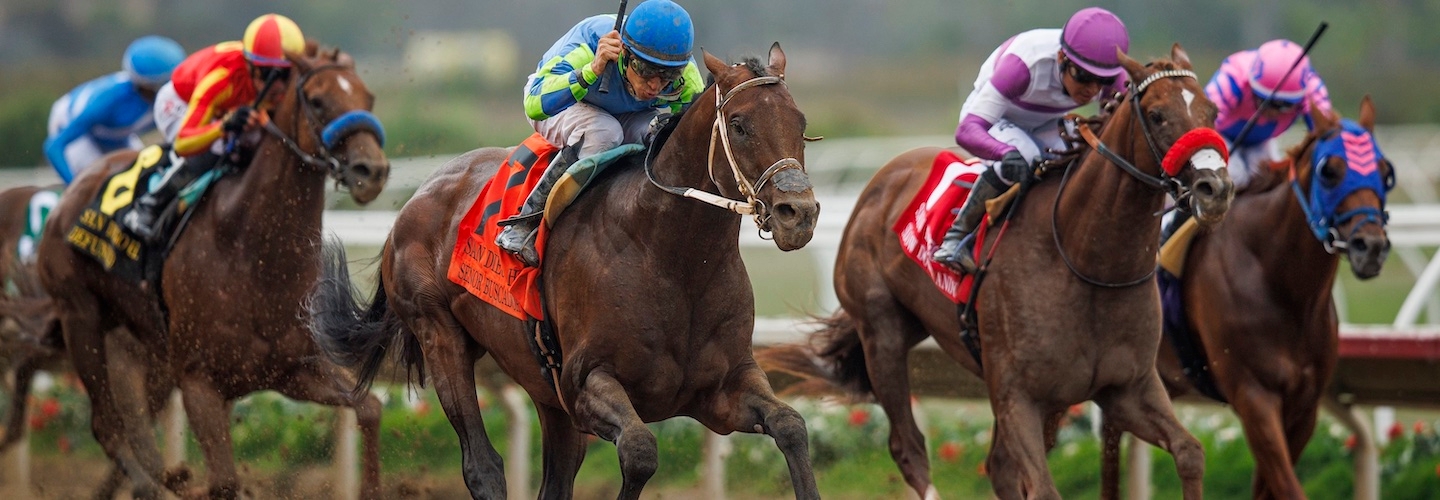 Kelly Breen Well Positioned To Repeat As Leading Trainer When Monmouth Park  Meet Gets Underway On Friday - Monmouth Park