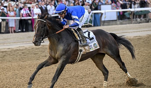 Breeders' Cup | Oct. 31 & Nov. 1 2025