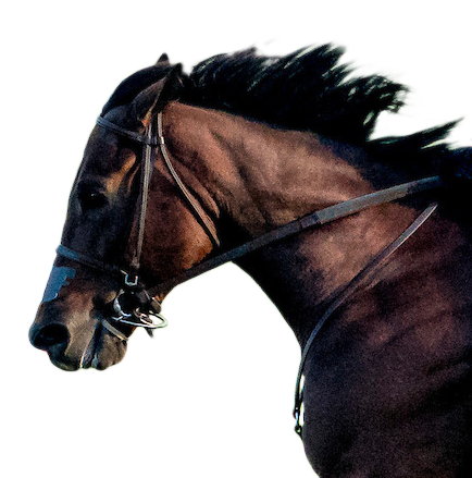 2021 at Del Mar