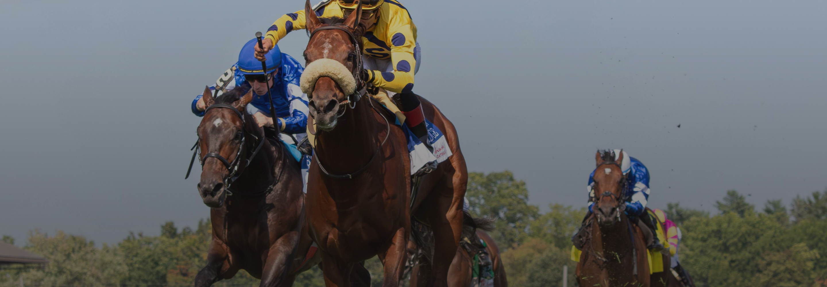 2024 BREEDERS' CUP まとめセット Hit_Show_Dubi_World_Cup_Recap_