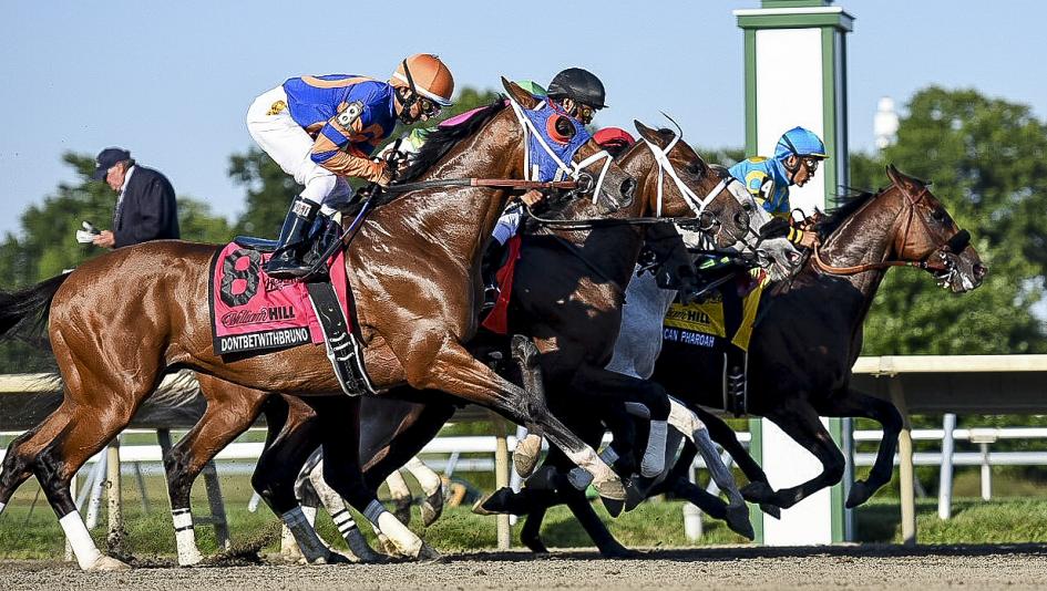 Using History To Handicap The 2021 Haskell Stakes Using History To Handicap The 2021 Haskell Stakes