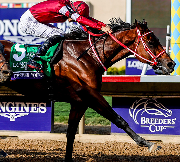 Breeders' Cup Contenders