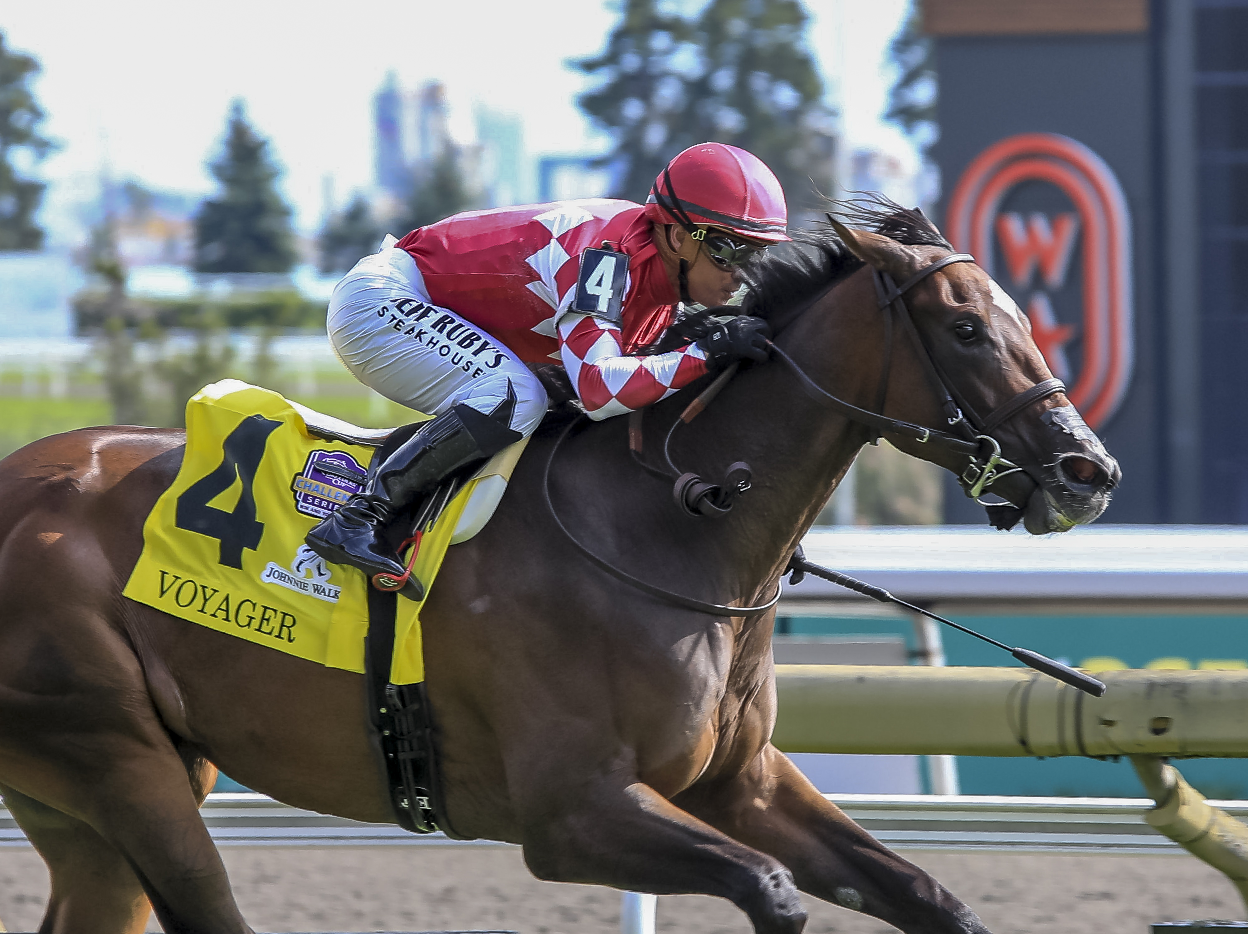 Impressive Winners Join Breeders' Cup Trail at The Curragh