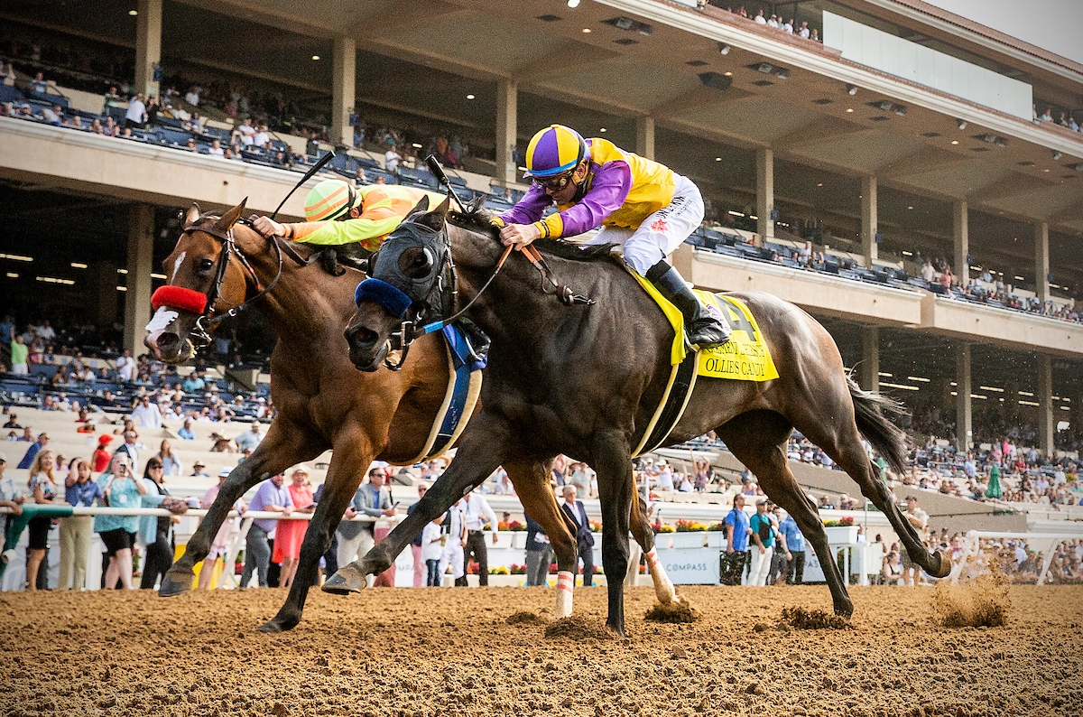 Ollie’s Candy Returns to Racing in Beholder Mile