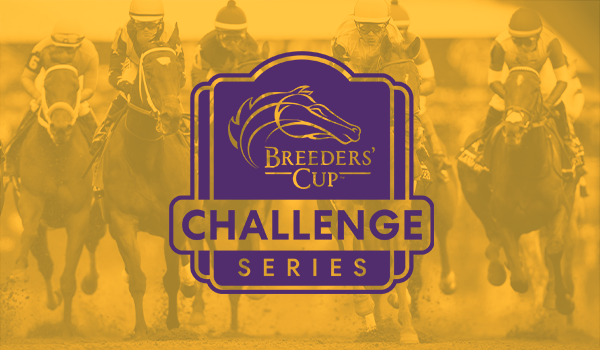 2024 BREEDERS' CUP まとめセット 2024 BREEDERS' CUP: JAPANESE HORSES PREVIEW - YouTube