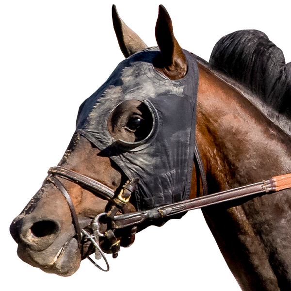 Breeders' Cup Entries