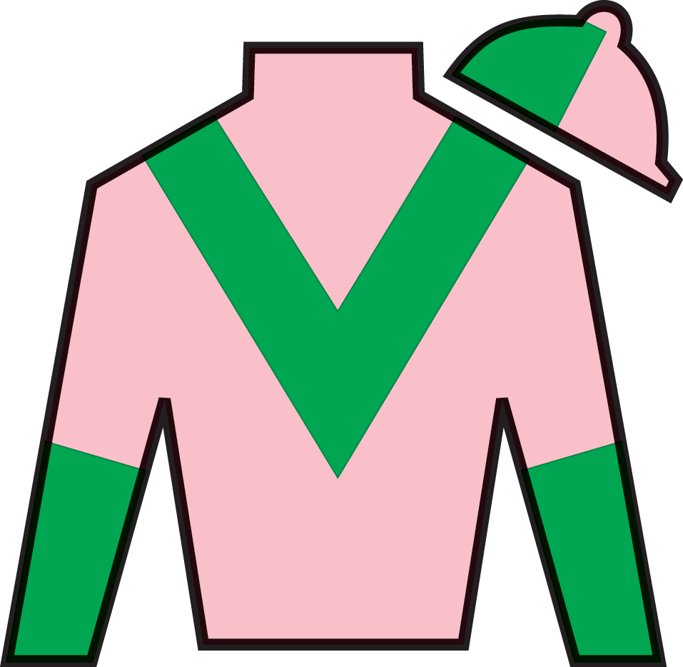 2024 BREEDERS' CUP まとめセット 2024年 ブリーダーズカップマイル（G1） | モアザンルックス