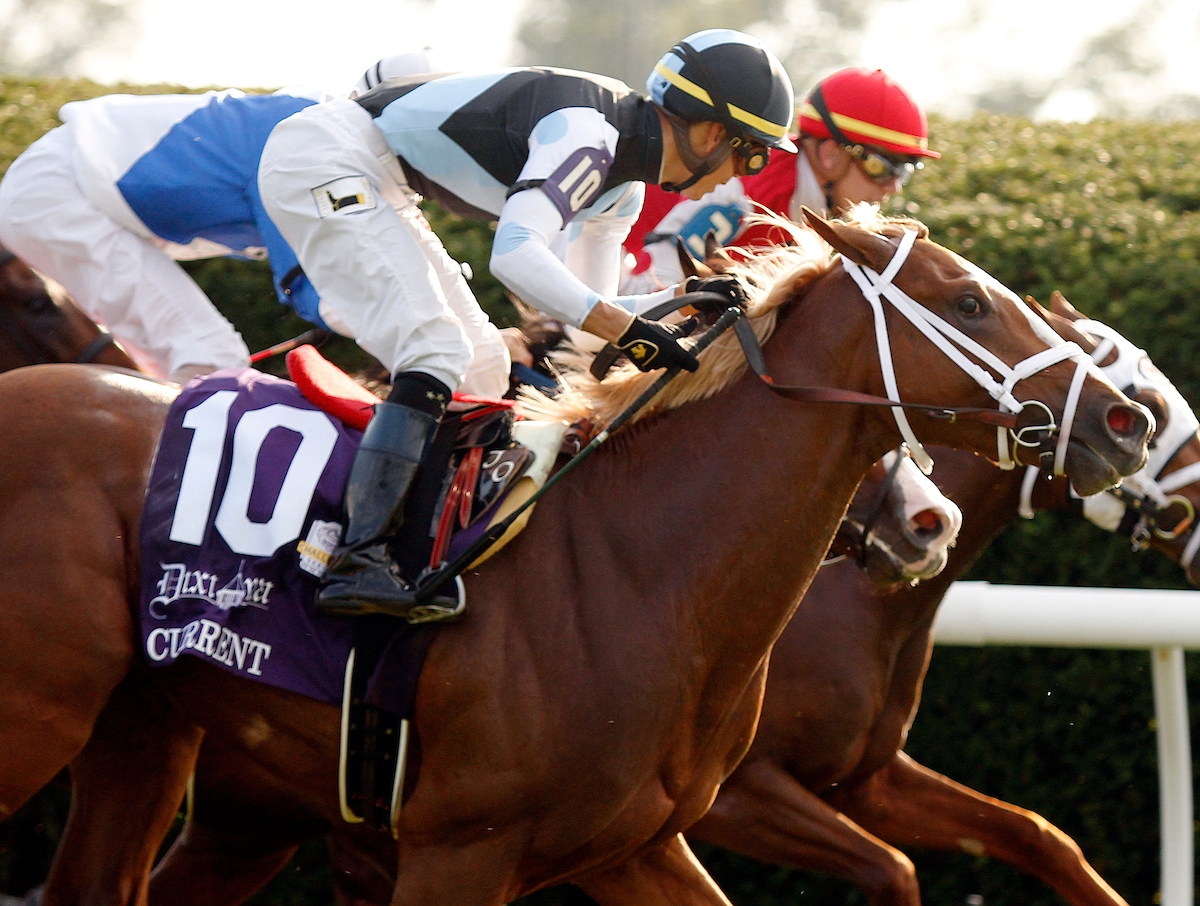 Current noses Henley's Joy for Bourbon Stakes triumph 20181007