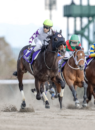 Peptide Nile wins February Stakes, Gains Berth into 2024 BC Classic