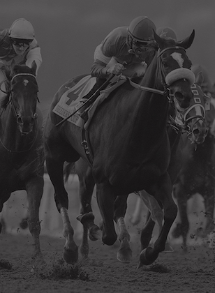 1 - Zenyatta Trounces Males With Closing Rush in Classic for the Ages