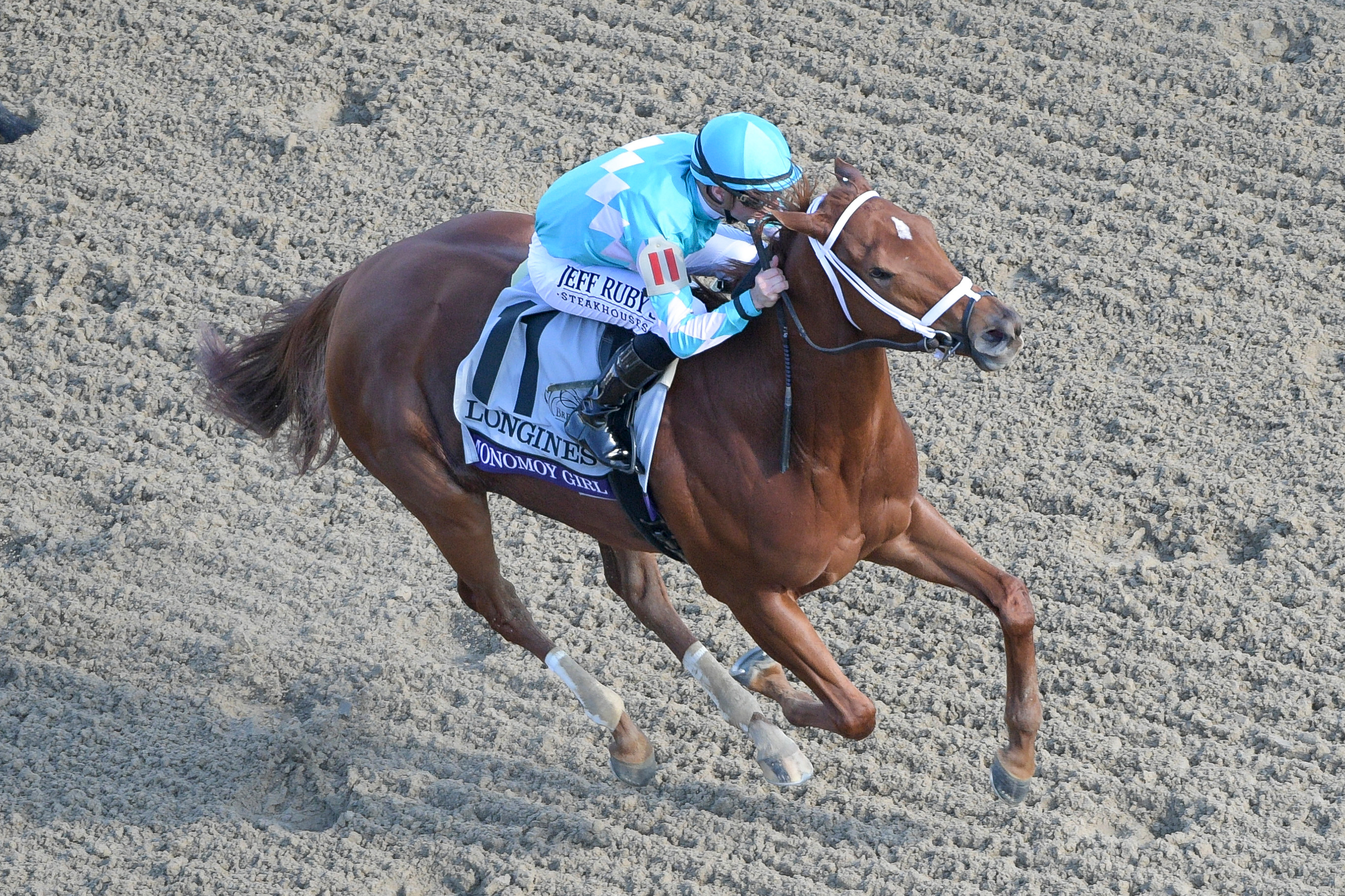 2019 Distaff