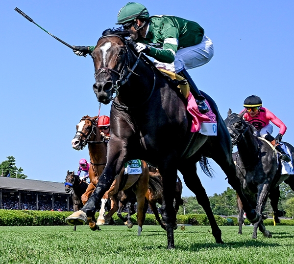 Breeders' Cup Contenders