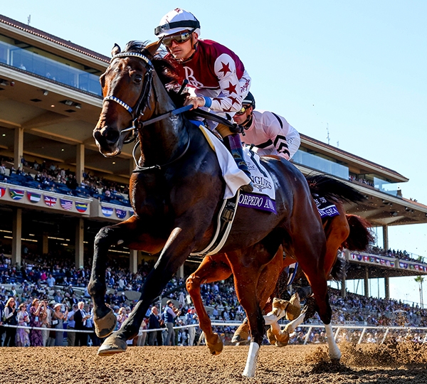 Breeders' Cup Entries