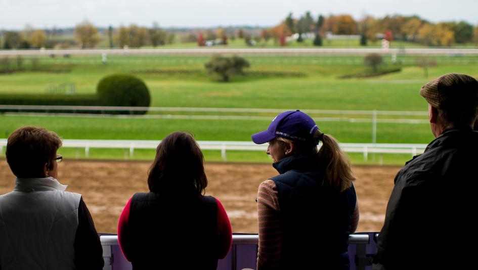 ABR’s Guide to Live Streaming Coverage for Breeders’ Cup Week