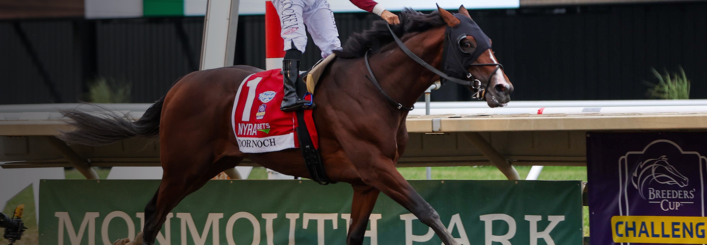 Dornoch Rises to Division Leader With Haskell Score