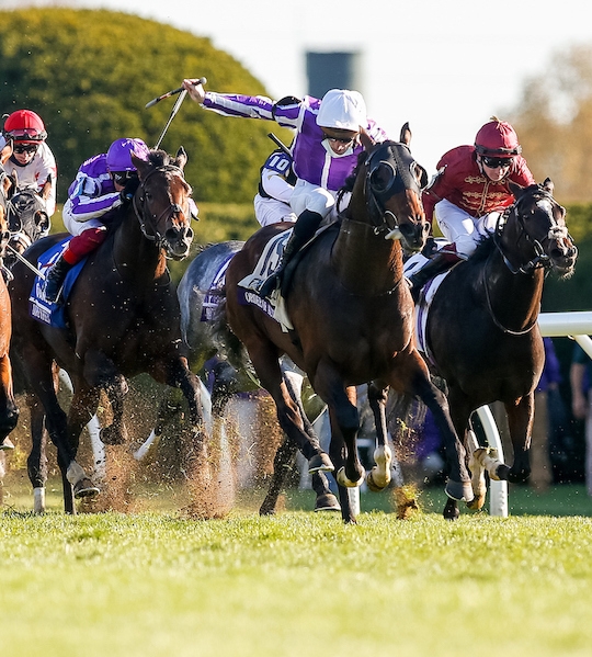 Breeders Cup Turf Mile 2024 Micki Francisca