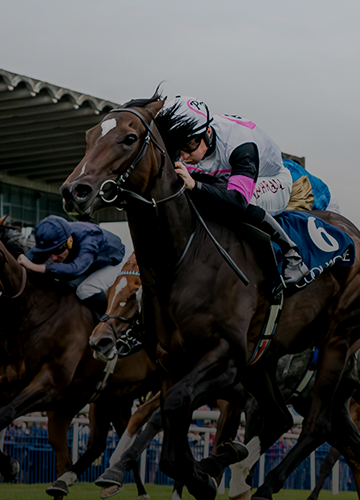 International Horses You Need to Know for the 2024 Breeders' Cup