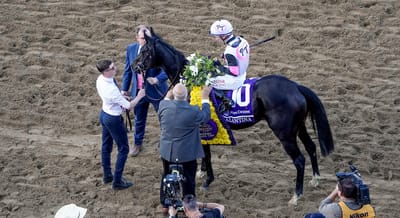 2025 Juvenile Fillies Turf Owner Congrats
