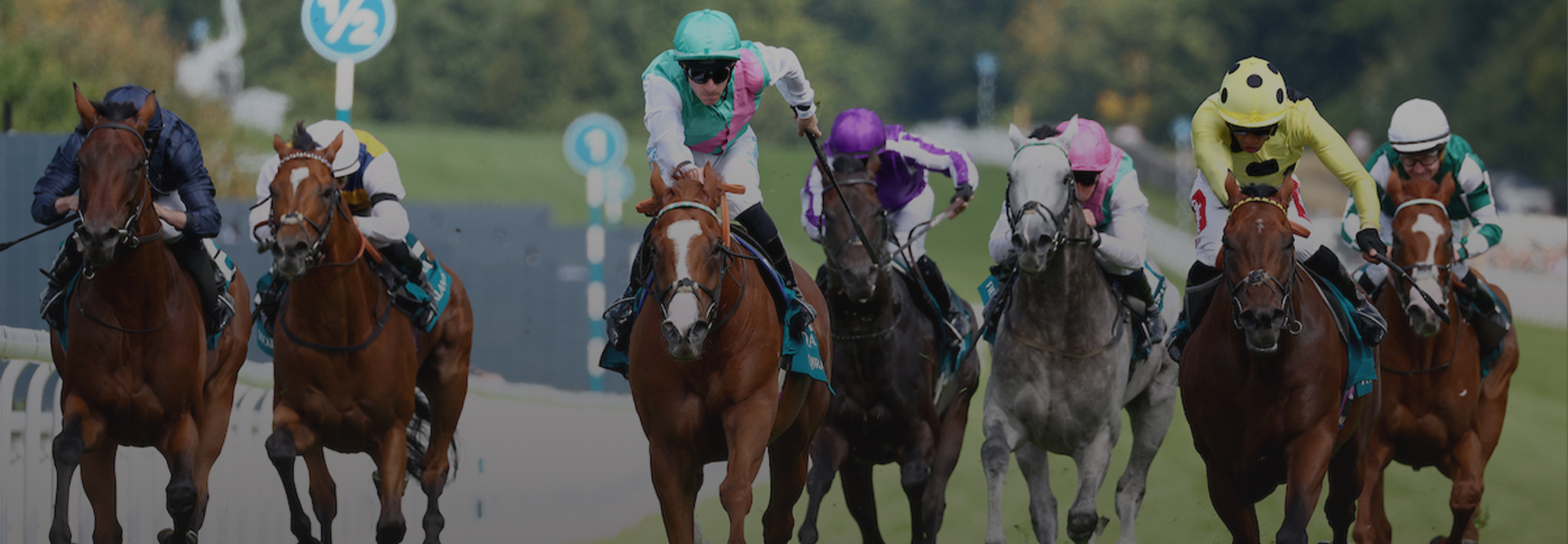 Sussex Races Qirat Pulls Off Major Upset to Land Sussex Stakes