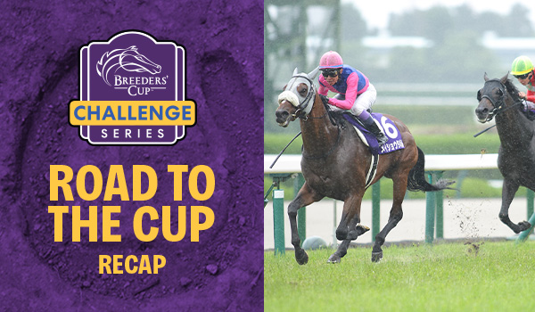 BREEDERS' CUP ANNOUNCES $2 MILLION PURSE INCREASE FOR 2024