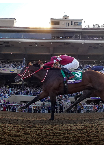 Breeders' Cup Entries