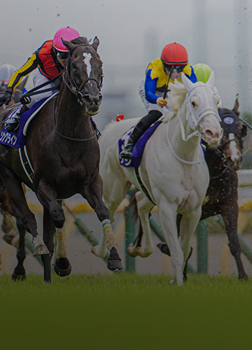 2024 BREEDERS' CUP CHALLENGE SERIES FEATURES 41 INTERNATIONAL RACES