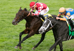 The Punisher upsets Pellegrini, earns Breeders' Cup Turf spot