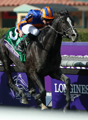 205 HORSES PRE ENTERED FOR 2023 BREEDERS CUP WORLD CHAMPIONSHIPS