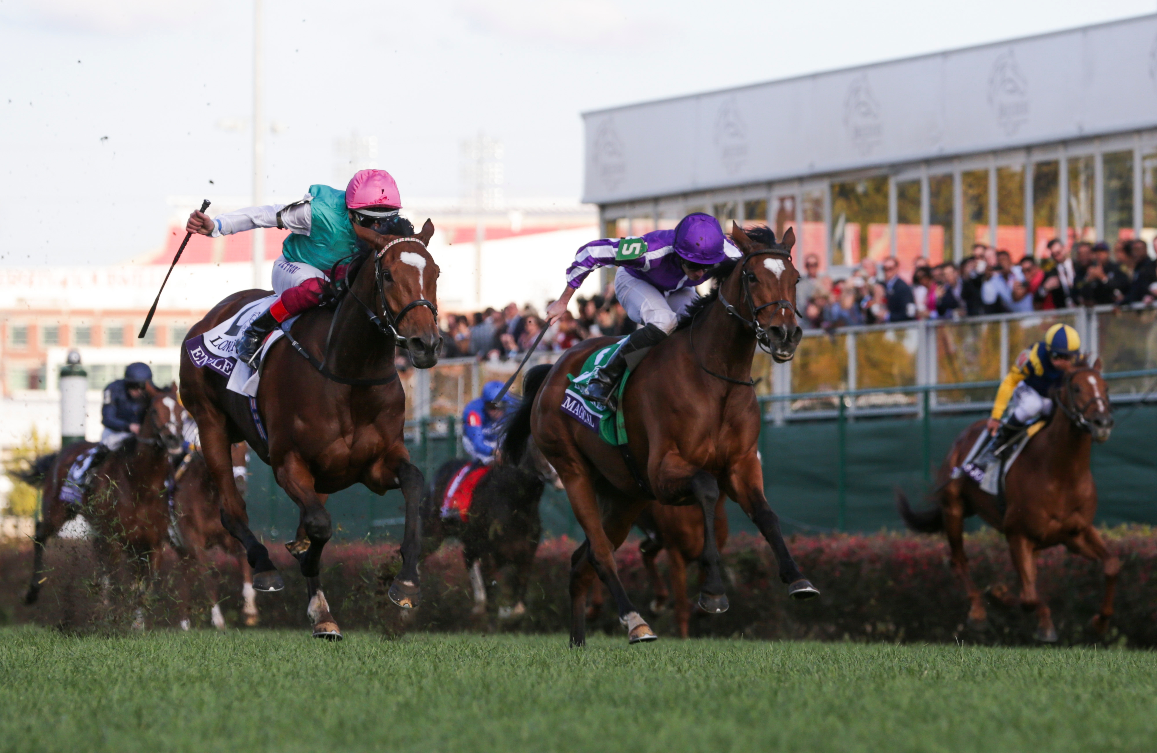 Four Breeders Cup Challenge Races at Royal Ascot This Week