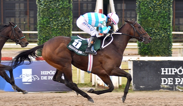 2024 Breeders' Cup Classic Cheat Sheet: Get to Know the
