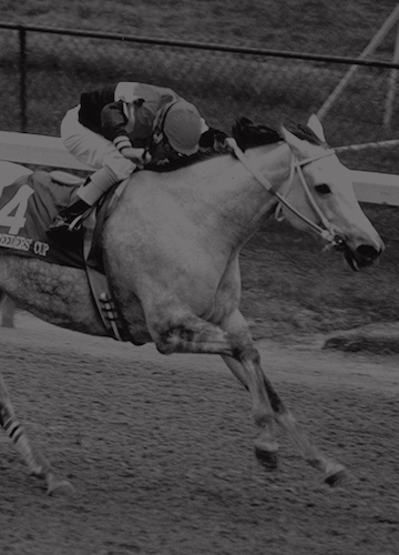 27 - Tom Durkin's Call of Longshot One Dreamer's Distaff Victory