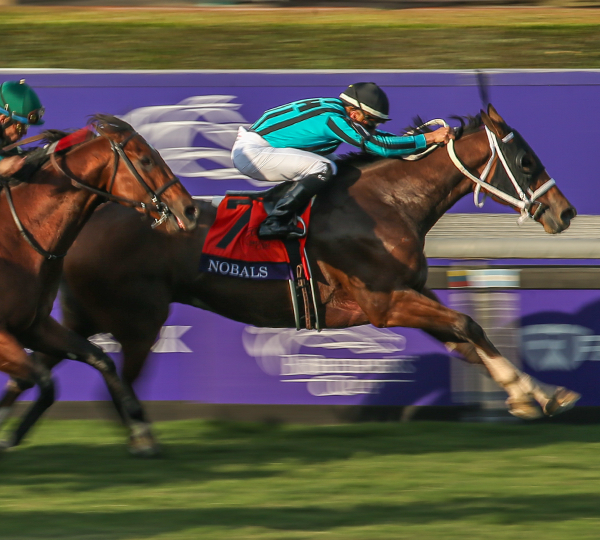 2024 BREEDERS' CUP まとめセット maxresdefault.jpg