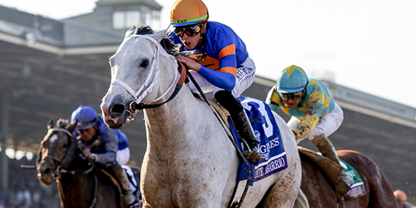 2024 BREEDERS' CUP まとめセット 2024 Breeders' Cup Classic Picks and Predictions