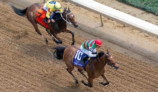 2024 BREEDERS' CUP まとめセット FINAL RACE ORDER, POST TIMES, AND WAGERING MENU ANNOUNCED