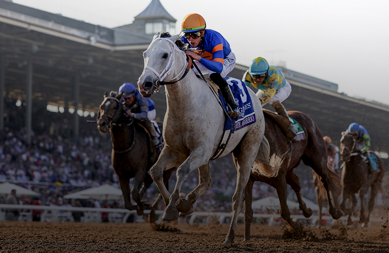 2024 Breeders' Cup Classic Picks and Predictions
