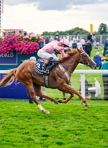 Live In The Dream Punches Breeders' Cup Ticket with Runaway