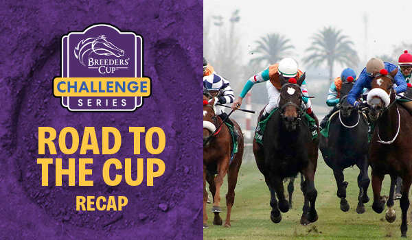 BREEDERS' CUP ANNOUNCES NEW PARTNERSHIP WITH CYGAMES