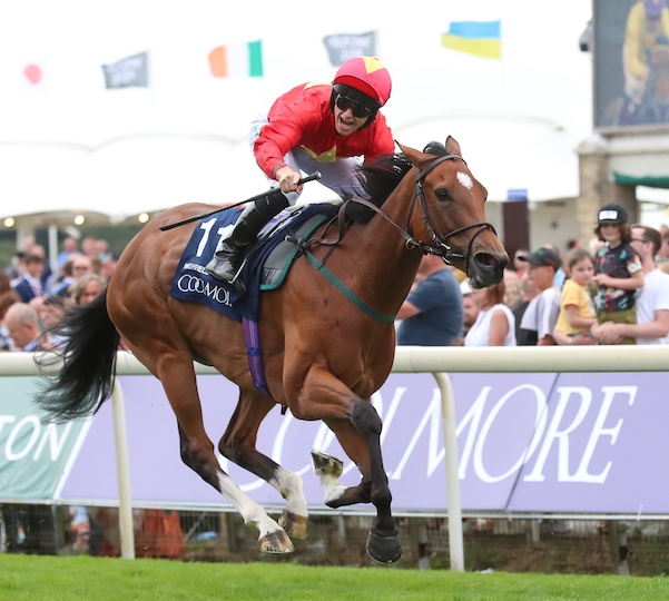 Breeders' Cup Unveils Logo for 2024 World Championships